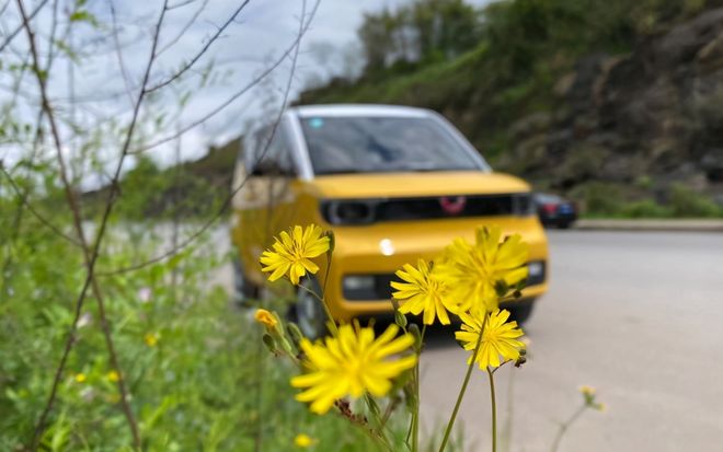 月薪5000，入手五菱的全新电动车，好看又实用，身边同事都很说好