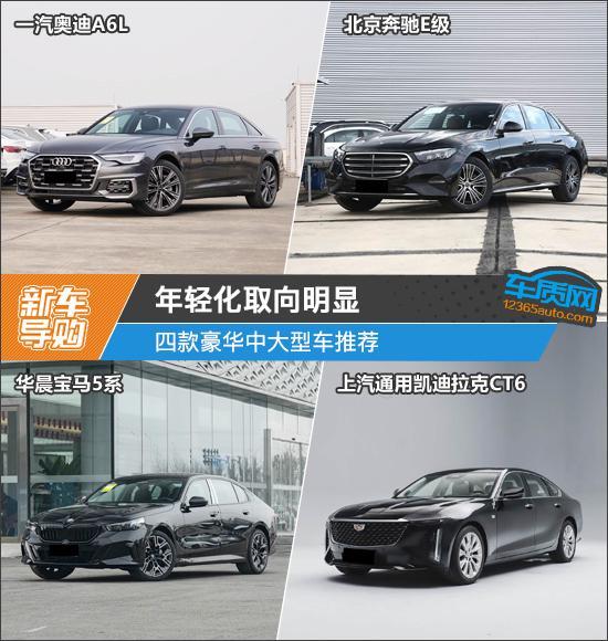 年轻化取向明显 四款豪华中大型车推荐