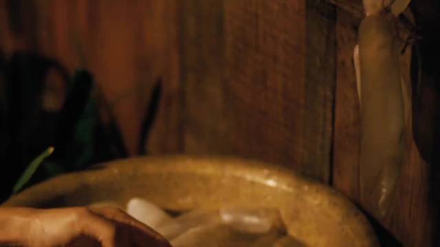 隐姓埋名的农民竟是一位高手电影解说甄子丹王