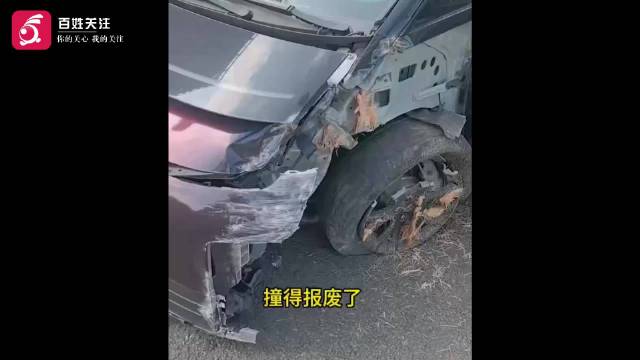 海口一理想车主开辅助驾驶偏离后撞树 车企回应：系用户未及时接管