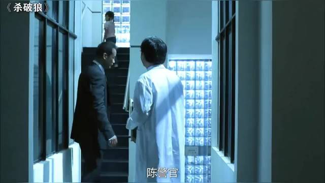 甄子丹为数不多在结局挂了的电影，上一部还是跟达叔合作的