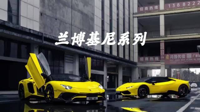 你的第一辆兰博基尼 你会选择谁？