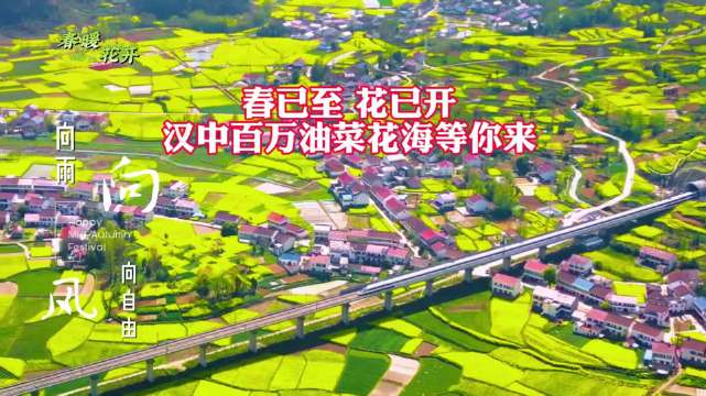 乘高铁穿越秦巴山脉，赴汉中百万亩油菜花海盛宴