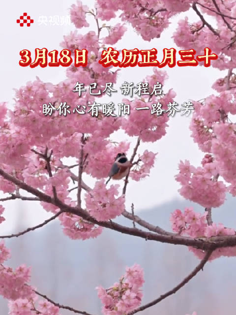 正月三十新程启