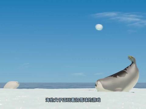 海豹苦等雪球整日终获治愈