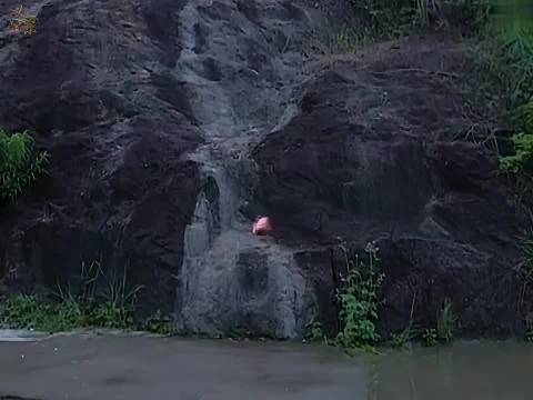 悟空变身公子救唐僧，反被蜘蛛精相中