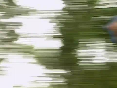 西游记：悟空装扮痴情郎，终于找到蜘蛛精巢穴.