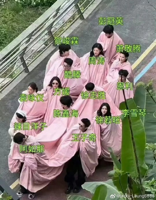 《五十公里桃花坞6》的新老嘉宾阵容有哪些变化？