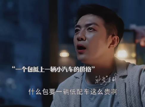 用全部身家购买名牌包包 只为融入富太太圈 三十而已｜童瑶｜李泽锋