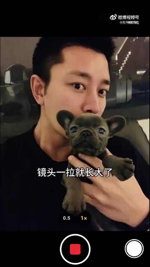 时间过的真快七年了，小不点长成大胖子，亮亮容颜未老！