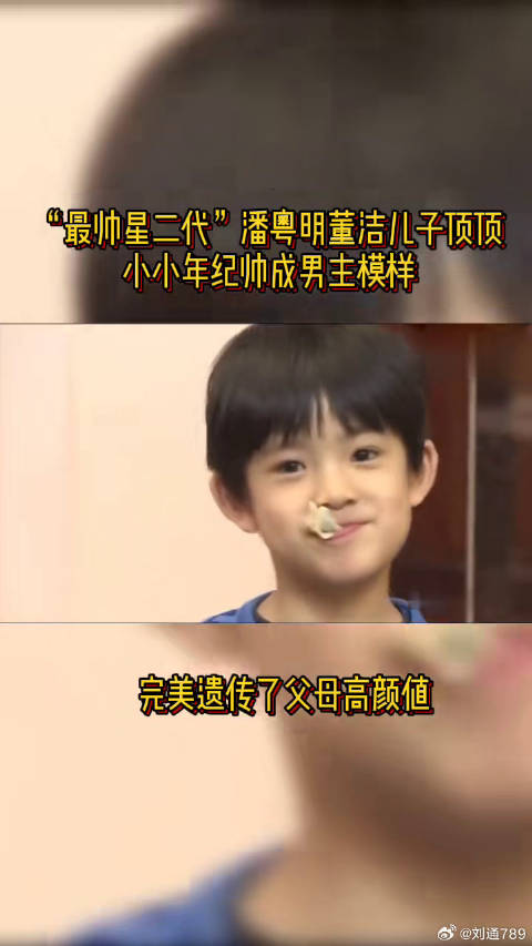 潘粤明董洁儿子顶顶遗传高颜值