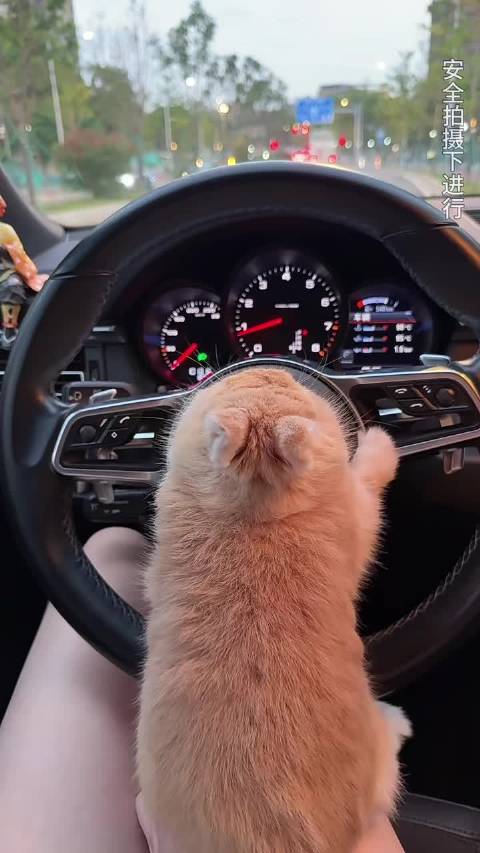 李沛恩开车实录有了