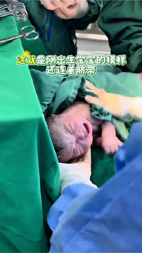 新生儿脐带未剪啼哭初响，与妈妈紧密联结治愈人心