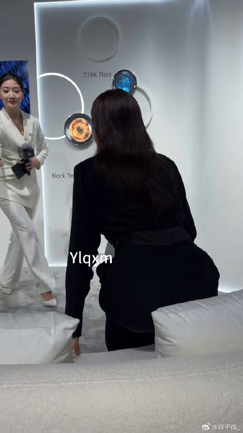 曾黎黑色束腰连体裤 曾黎绝美状态