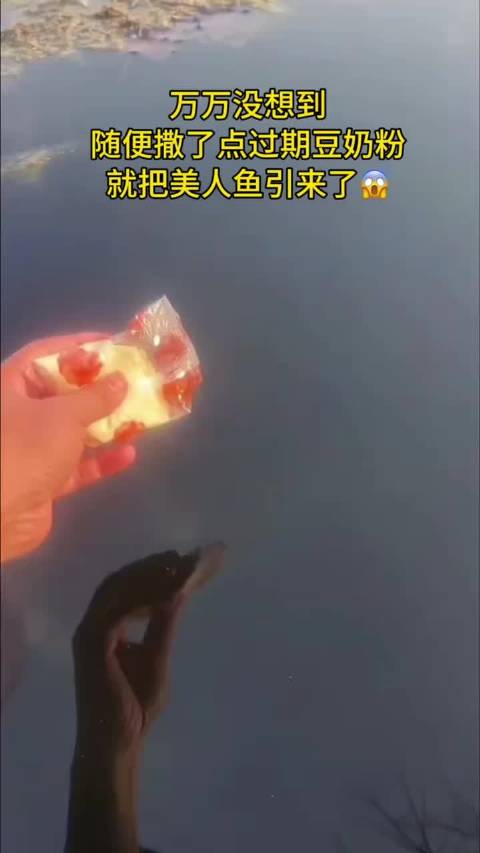 注意看！别眨眼 美人鱼来了！