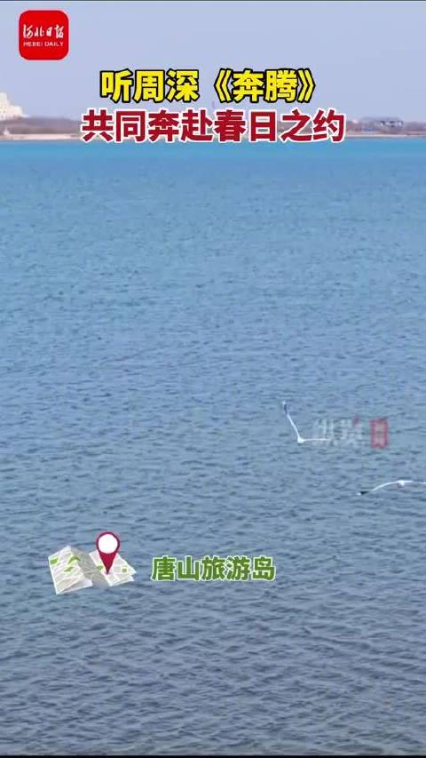 唐山北归候鸟如期而至，周深献唱《奔腾》迎春