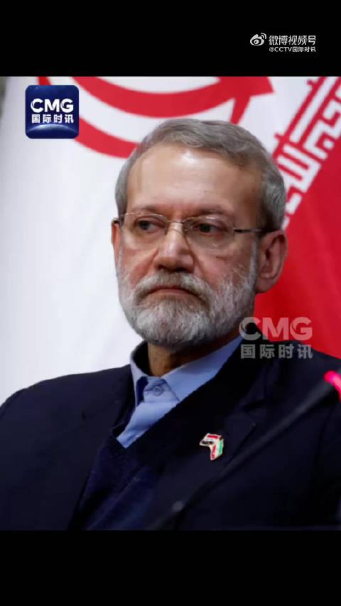 拉里贾尼已遇难