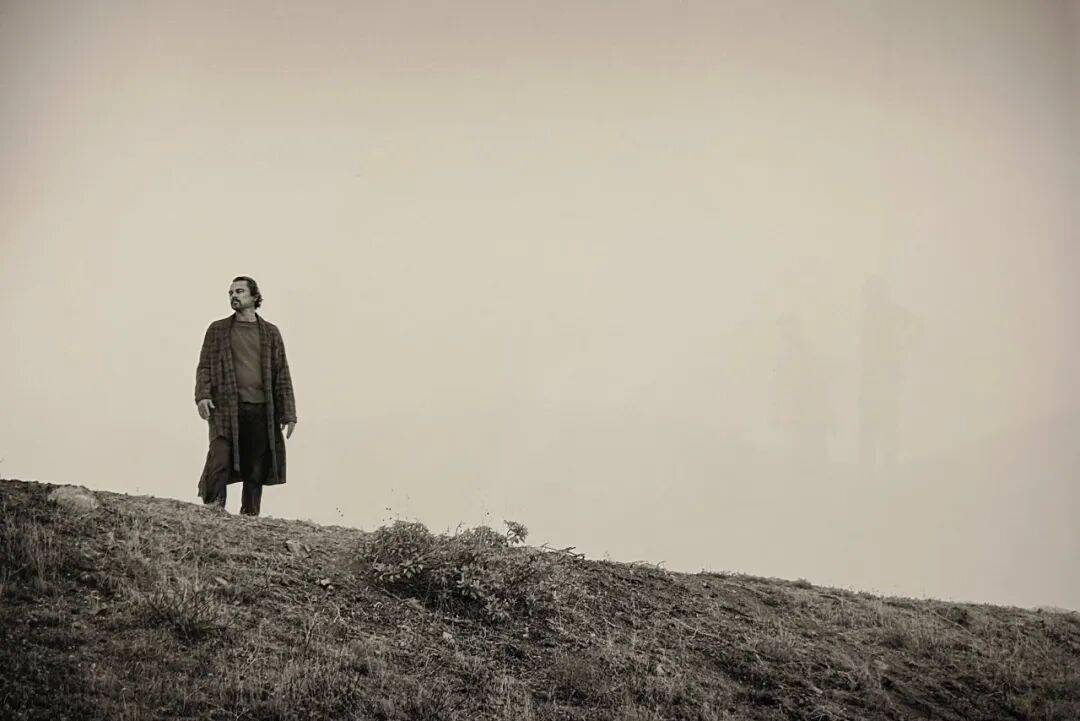 影单推荐|最适合中年小李子的角色出现了