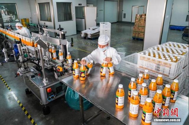 图为广西冰客食品有限公司沃柑果汁自动化生产线(资料图)。广西—东盟经济技术开发区管委会 供图