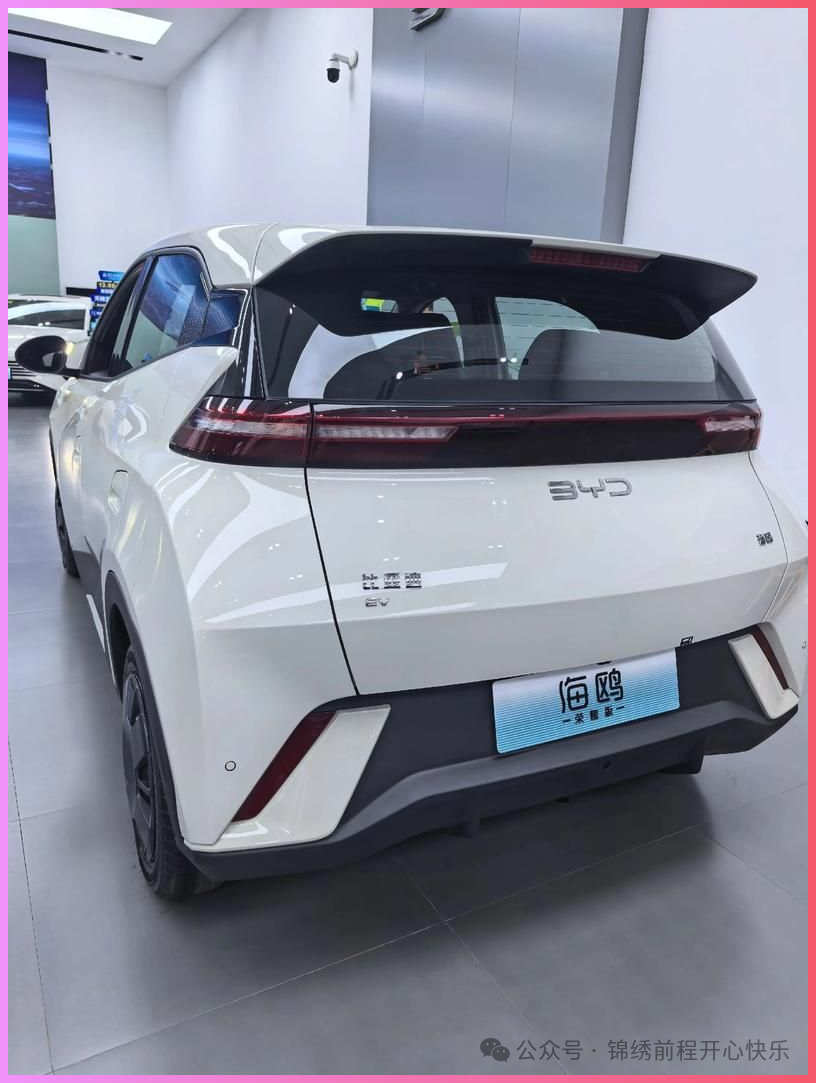 买纯电车需谨慎!2025最新质量榜:仅30款合格,海鸥、Model 3上榜