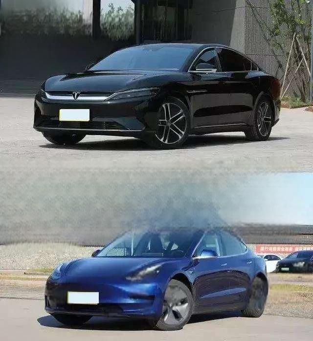 特斯拉和比亚迪对比