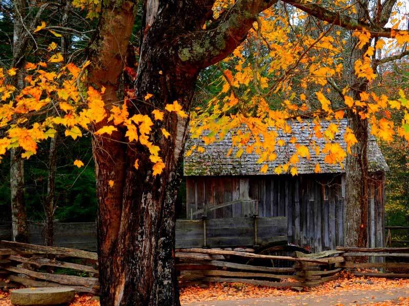 奥斯卡影后杨紫琼回归华语影坛,主演的《魔方小姐》官宣杀青?