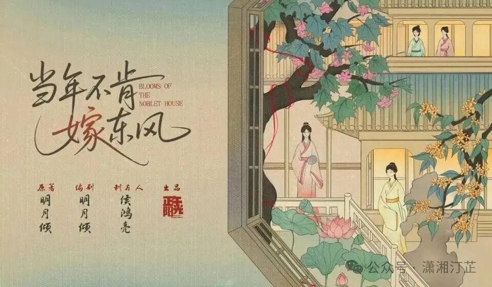 正午阳光再拍宅斗!继《知否》后,这部《当年不肯嫁东风》太值得蹲