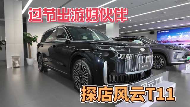 风云T11限时享万元购置税补贴，探店出游新选择