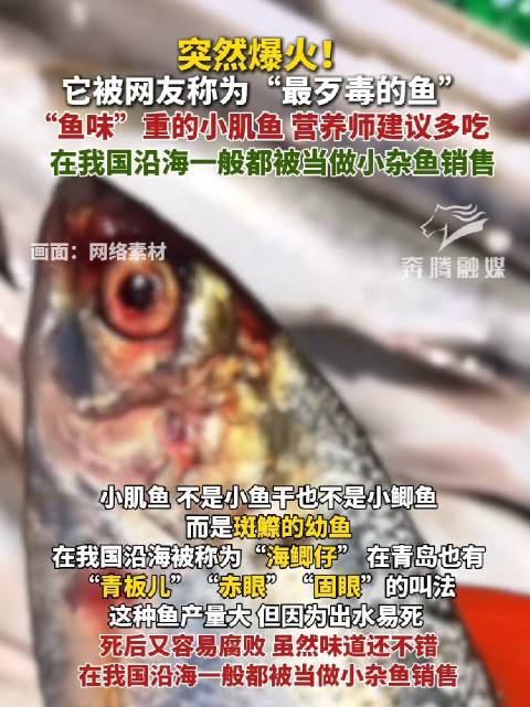 小肌鱼因鱼味重爆火，营养师建议多食用