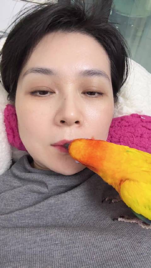 调皮的大福，最近学会越狱了，飞来飞去就是作