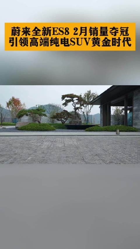 蔚来ES8二月销11260台，连续三月蝉联双料销冠