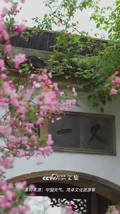 周深献唱春花盛开，春日赏花地图发布