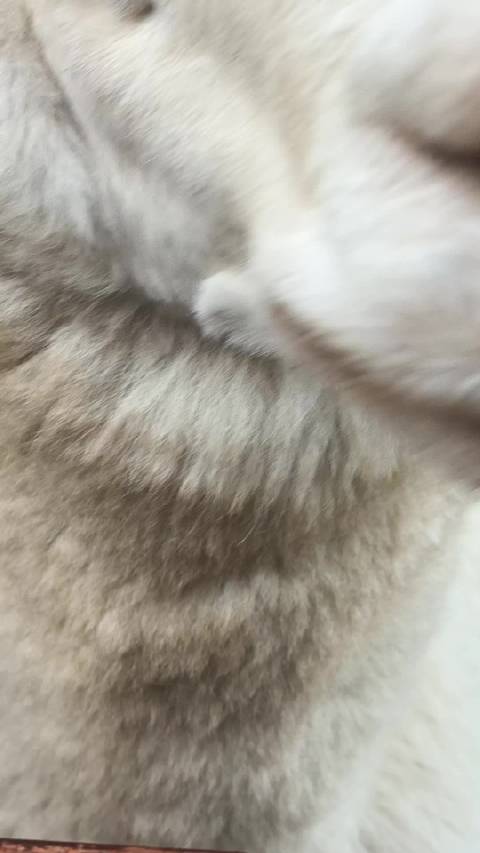 早上好，许凯，我给你表演个生吃胡萝卜