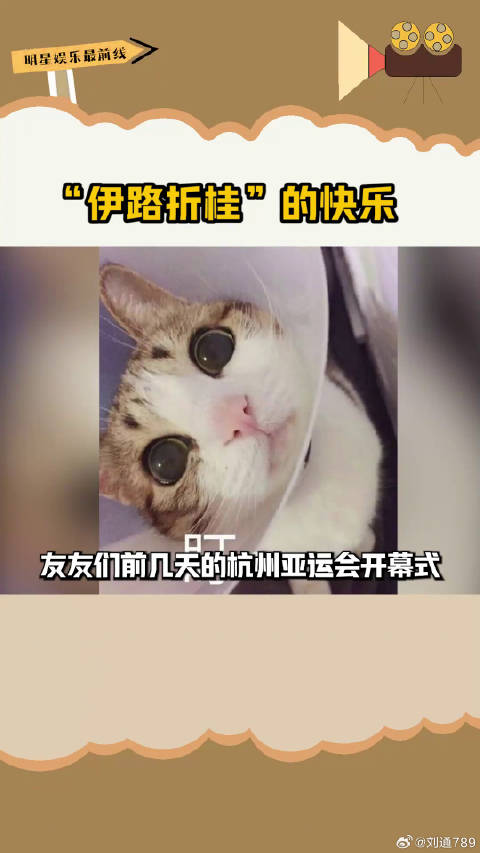 赵雅芝现身杭州亚运伊利主题店领取桂花牛奶