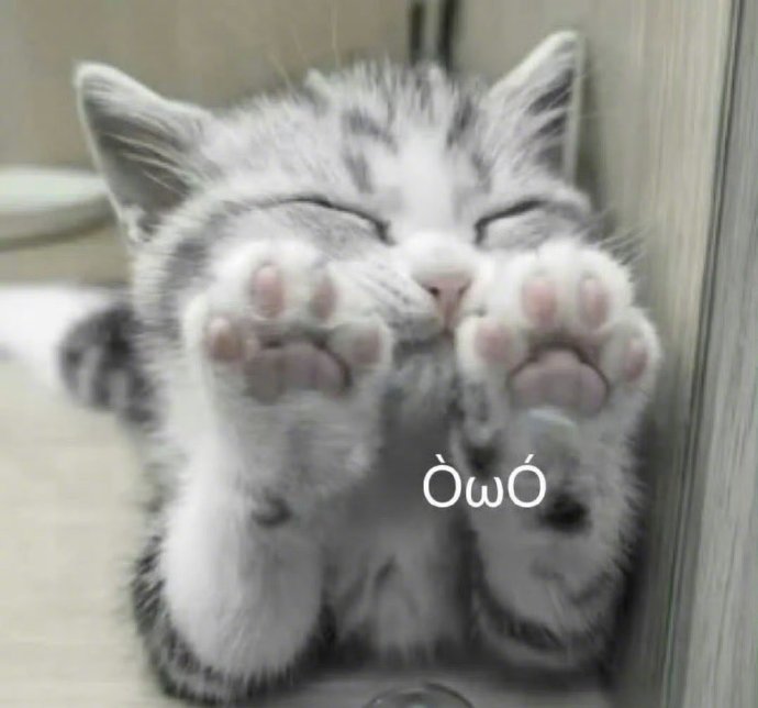 王楚然苏州活动被闪光灯闪到闭眼，秒变皱巴巴小猫表情包