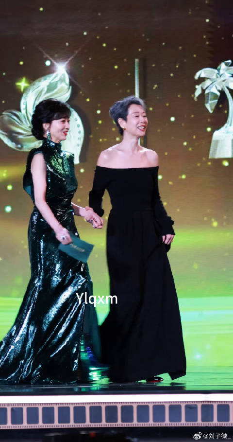 叶童赵雅芝牵手同框 赵雅芝 牵手同框 岁月不败美人 两位真是一代人的回忆