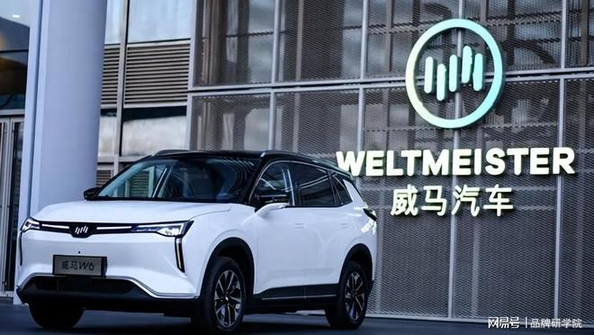 小米汽车爆火，威马汽车负债200多亿！