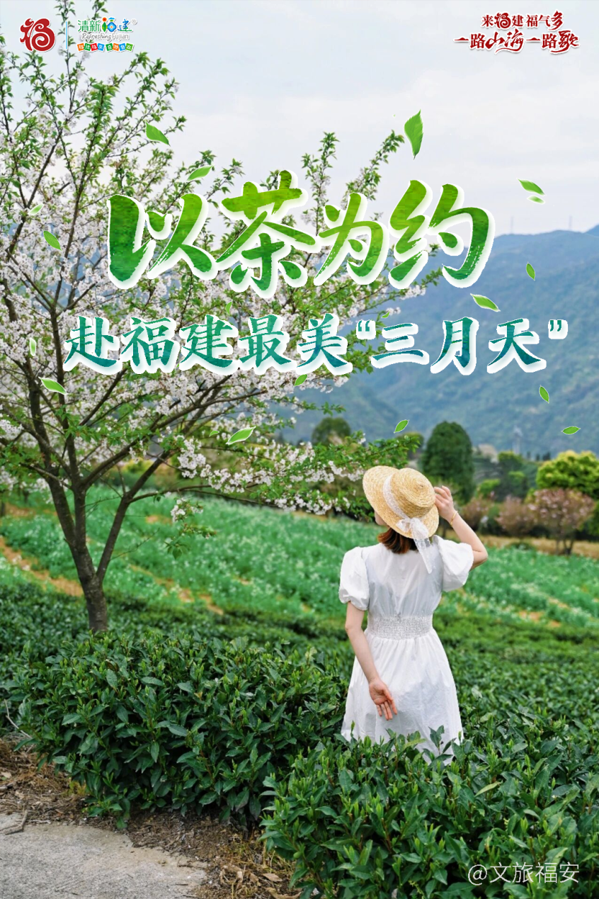 以茶为约，赴福建最美“三月天”
