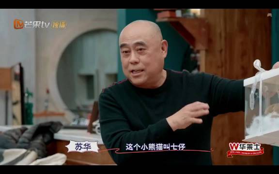 老苏总送七仔玩偶引全场欢笑