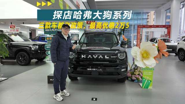 探店哈弗大狗系列，三款车都有政策，最高优惠2万5
