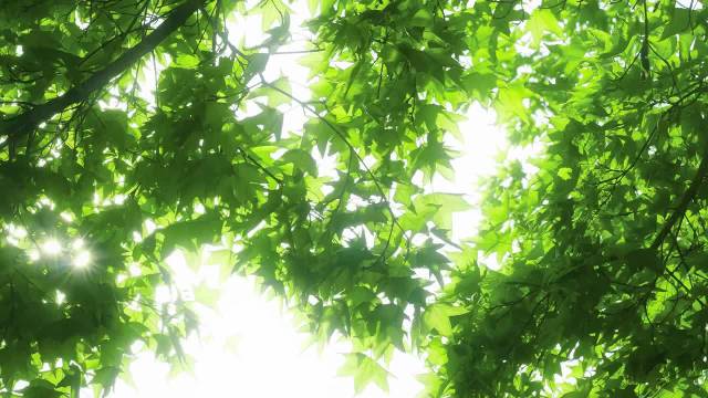 积极心态面对生活，世界回馈温暖惊喜