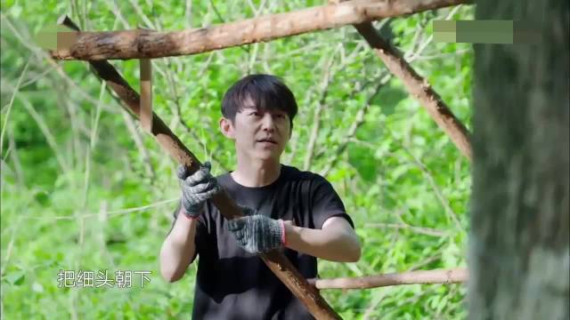 张凌赫何炅毛不易搭木头谈逐玉