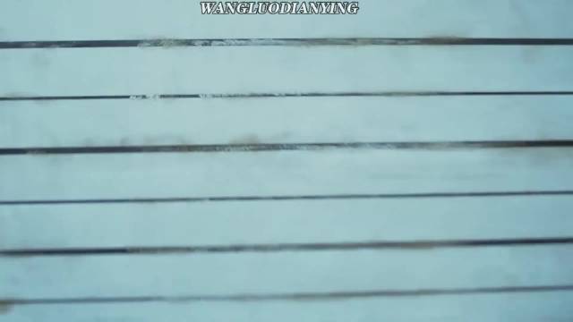 “西装暴徒” 张晋