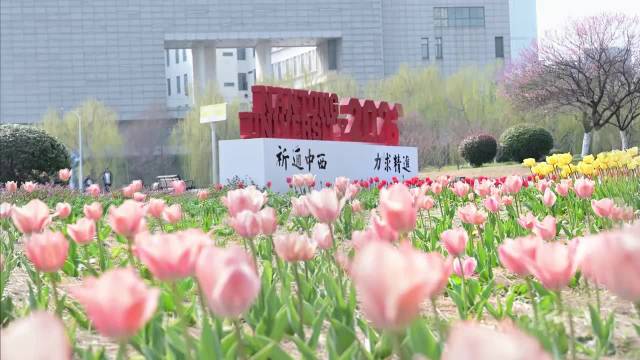 南通大学啬园郁金香盛开，粉红黄白绘就春日诗篇