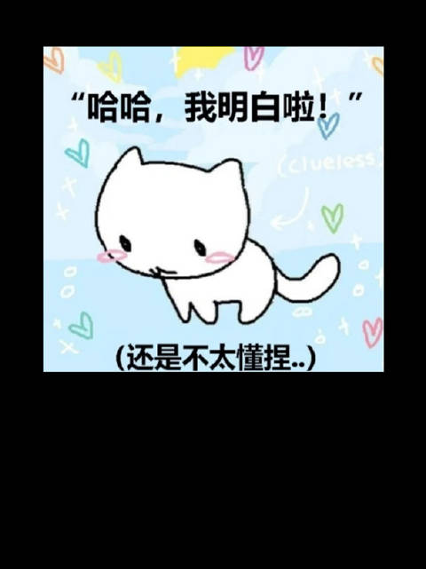 张新成被贴体寒标签无奈，贾玲转型拒喜剧路线