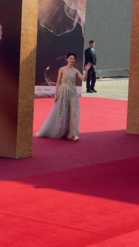 刘浩存CMG盛典红毯造型引热议，裙子被指显胖不衬气质