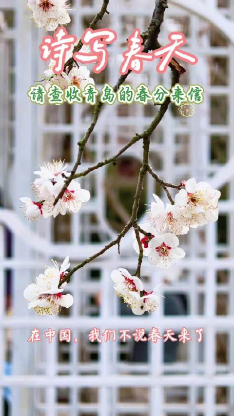 青岛早报邀您以诗词共赏繁花盛景