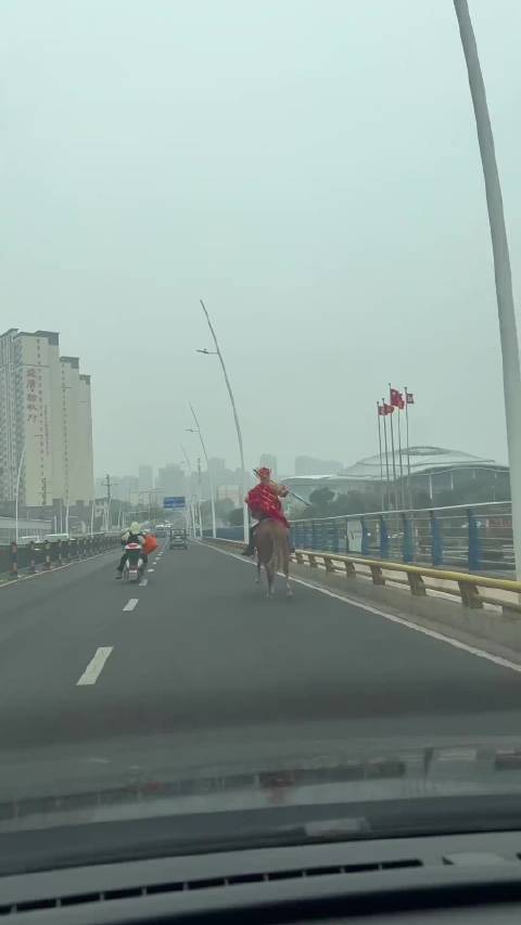 谁能告诉我这是西游记第几集！？怎么白龙马都跑掉色了？