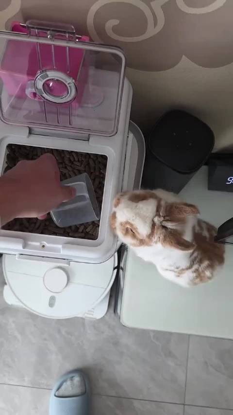 都来看饭桶老公吃饭，最后的漂移太好笑了