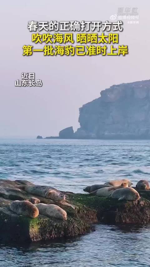 双一流之外的首选大学